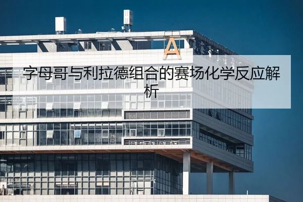 字母哥与利拉德组合的赛场化学反应解析